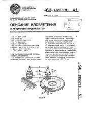 Растровый трехфазный преобразователь перемещений (патент 1388719)