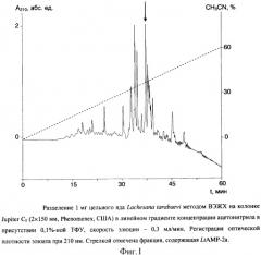 Пептиды латарцины, проявляющие антимикробную активность (патент 2306148)