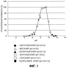 Новый ген пептидобразующего фермента (патент 2296798)