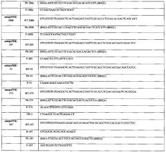 Способ дифференциальной диагностики новообразований щитовидной железы человека (патент 2569154)