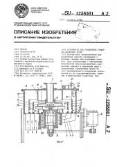 Устройство для разделения рушанки масличных семян (патент 1258501)