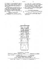 Распылительная головка (патент 902839)