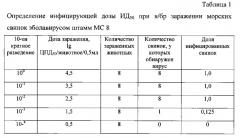 Способ ингибирования инфекционной активности вируса эбола в эксперименте (патент 2585695)