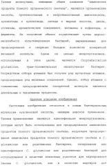 Гены corynebacterium glutamicum, кодирующие белки метаболических путей (патент 2306339)