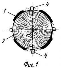Способ ультразвукового испытания древесины круглых лесоматериалов (патент 2282849)
