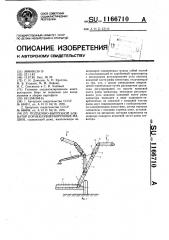 Подъемно-выгрузной элеватор корнеклубнеуборочных машин (патент 1166710)