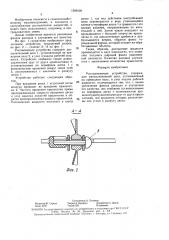 Распыливающее устройство (патент 1599109)