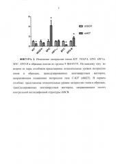 Подавление экспрессии гена c-kit в клетках нейробластом и лентивирусные конструкции, направляющие синтез shphk, специфичных в отношении данного гена (патент 2609107)