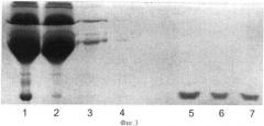 Способ выделения природных и рекомбинантных белков и других биологических соединений (патент 2366713)
