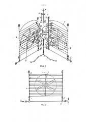 Кустозаводящее устройство к хлопкоуборочному аппарату (патент 1319797)