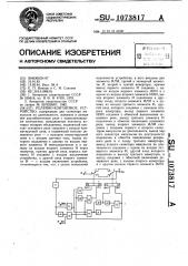 Релейно-контактное устройство (патент 1073817)