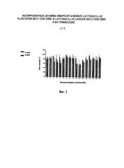 Изолированные штаммы микроорганизмов lactobacillus plantarum mcc1 dsm 23881 и lactobacillus gasseri mcc2 dsm 23882 и их применение (патент 2603059)