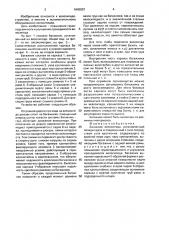 Багажник велосипеда (патент 1640007)