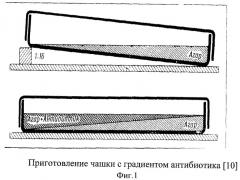 Способ определения остаточной активности стрептомицина с помощью спорово тест-культуры штамма bacillus anthracis davies "r" бал  31 strd в питательных средах, биологических тканях и жидкостях (патент 2384622)