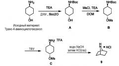 Твердые формы n-(4-(7-азабицикло[2.2.1]гептан-7-ил)-2-(трифторметил)фенил)-4-оксо-5-(трифторметил)-1,4-дигидрохинолин-3-карбоксамида (патент 2568608)