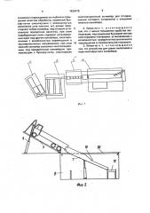 Линия для комплексной обработки картофеля перед закладкой на хранение (патент 1639478)