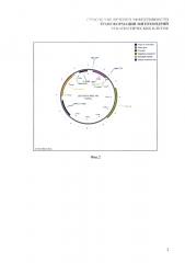 Способ увеличения эффективности проникновения днк в митохондрии эукариотических клеток (патент 2628701)