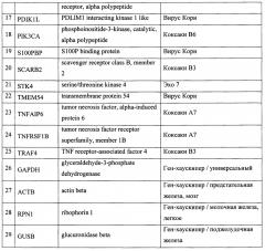 Аналитическая тест-система по определению чувствительности злокачественной опухоли конкретного пациента к онколитической биотерапии (патент 2667648)