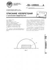 Способ снегозадержания и устройство для его осуществления (патент 1209045)