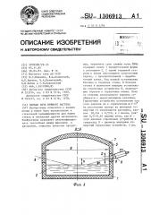 Ванная печь прямого нагрева (патент 1306913)