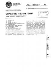 Тензопреобразователь (патент 1381327)