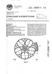 Головка для радиального прессования изделий из бетонных смесей (патент 1838111)