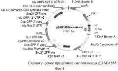 Опосредованная наночастицами доставка сиквенс-специфичных нуклеаз (патент 2556376)