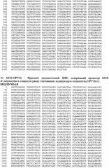 Рекомбинантная вакцина для профилактики папилломавирусной инфекции человека и способ ее получения (патент 2546243)