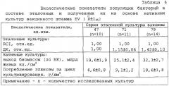 Способ определения дыхательного контроля у популяции бактерий (патент 2247780)