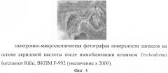 Штамм trichoderma harzianum rifai-биодеструктор термопластичного полиуретана, поливинилового спирта, латекса на основе акриловой кислоты, севилена (патент 2415914)