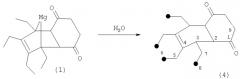 Способ получения 1,8,9,10-тетраалкил-11-магнезатрицикло[6.2.1.0 2,7]ундец-9-ен-3,6-дионов (патент 2313528)