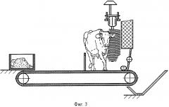 Устройство автоматической уборки навоза (патент 2568682)