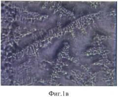 Способ получения микрокапсул лозартана калия в альгинате натрия (патент 2558855)