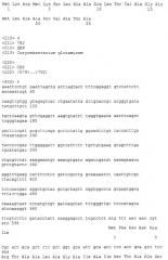 Способ секреторной продукции белка (патент 2264463)