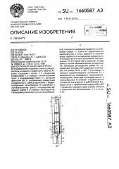 Погружной насосный агрегат (патент 1660587)