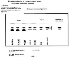 Способ лечения диабета (патент 2266123)