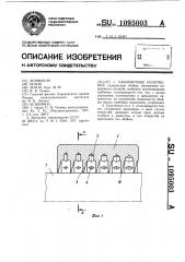 Лабиринтное уплотнение (патент 1095003)