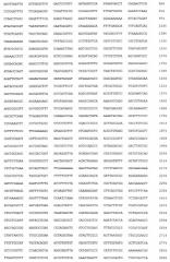 Рекомбинантный белок collbd-cbd, рекомбинантная плазмида pос-collbd, штамм escherichia coli - продуцент рекомбинантного белка collbd-cbd, способ получения рекомбинантного белка collbd-cbd (патент 2408726)