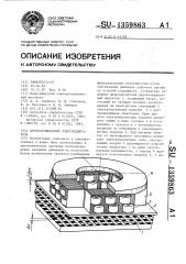 Двухкоординатный электродвигатель (патент 1359863)