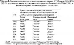 Вакцинный штамм вируса гриппа а/17/гонконг/2014/8296 (h3n2) для производства живой гриппозной интраназальной вакцины для взрослых и для детей (патент 2606019)