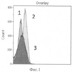 Способ селекции аптамеров к заданным белковым мишеням на поверхности клеток (патент 2518368)