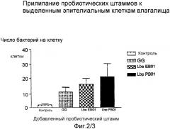 Пробиотические штаммы lactobacillus (варианты) и их применение (патент 2316586)