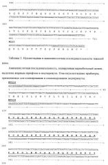 Антитела - антагонисты интерлейкина-17 (ил-17) для лечения рака (патент 2430110)