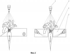 Способ для внесения листовых удобрений и гербицидов (патент 2542124)