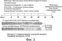 Питательная композиция, содержащая штаммы bifidobacterium longum и ослабляющая сиптомы пищевой аллергии, особенно у младенцев и детей (патент 2539514)