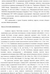 Модифицированные фторированные аналоги нуклеозида (патент 2358979)