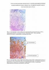 Способ анализа структур межклеточного вещества соединительной ткани в гистологических срезах шейки матки у животных (патент 2646469)