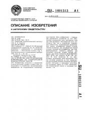 Устройство для отображения информации на газоразрядной индикаторной панели (патент 1401513)