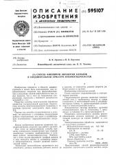 Способ финишной обработки каналов в соединительной арматуре пневмогидросистем (патент 595107)