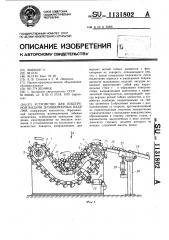 Устройство для поштучной выдачи длинномерных изделий (патент 1131802)